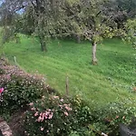 Weber Apartament Bad König