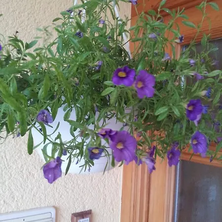 Weber Apartmán