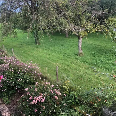 Weber Apartamento Bad König