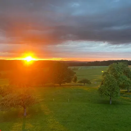 Weber Appartement Bad König