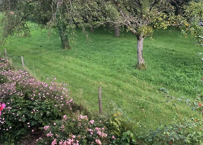 Weber Apartmán Bad König