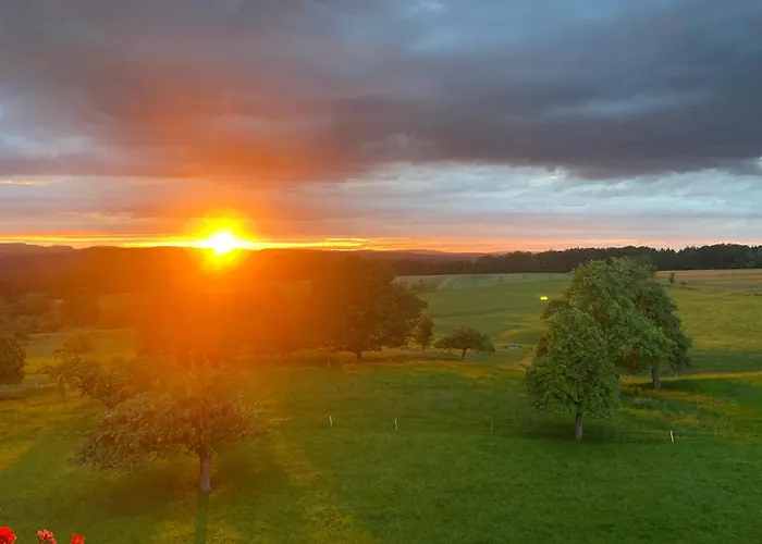 Weber Apartmán Bad König